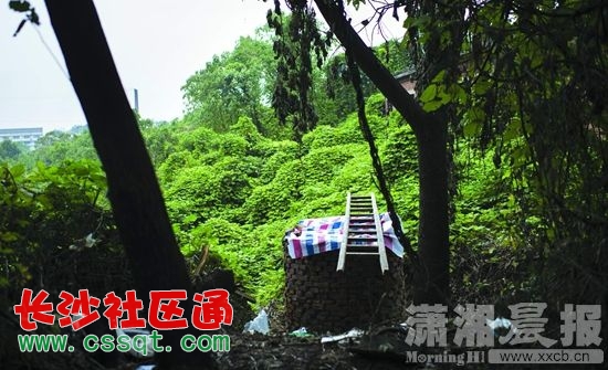 huangj15091086.JPG